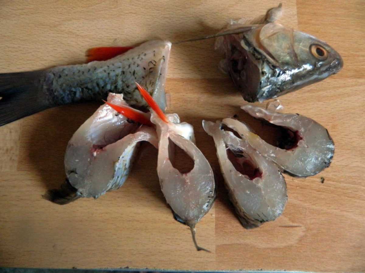 Обзор рецептов приготовления голавля с фото: все блюда из рыбы голавль
