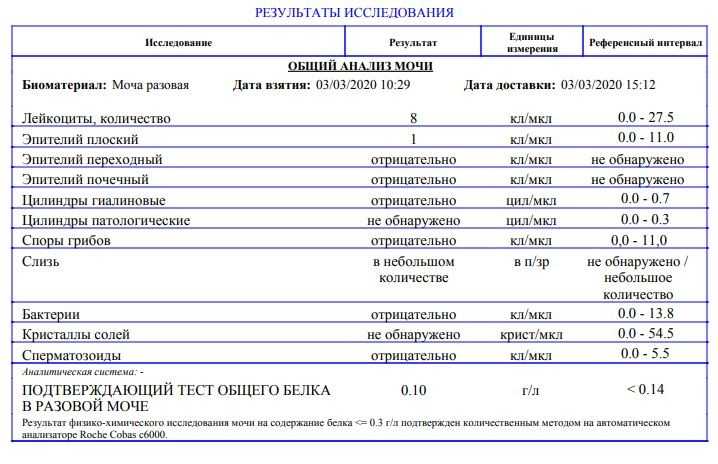 Гломерулонефрит и беременность. симптомы. диагностика. лечени.