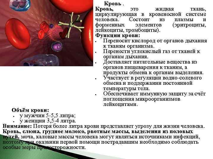 Признаки внутреннего кровотечения: основные причины состояния и методы диагностики