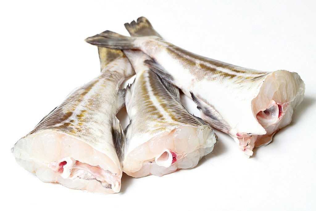 Пикша: польза и вред, калорийность жареной и приготовленной на пару рыбки
