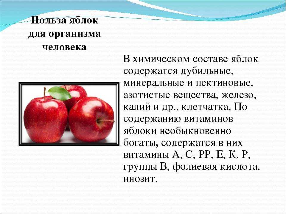 Калорийность яблоко свежее тертое. химический состав и пищевая ценность.