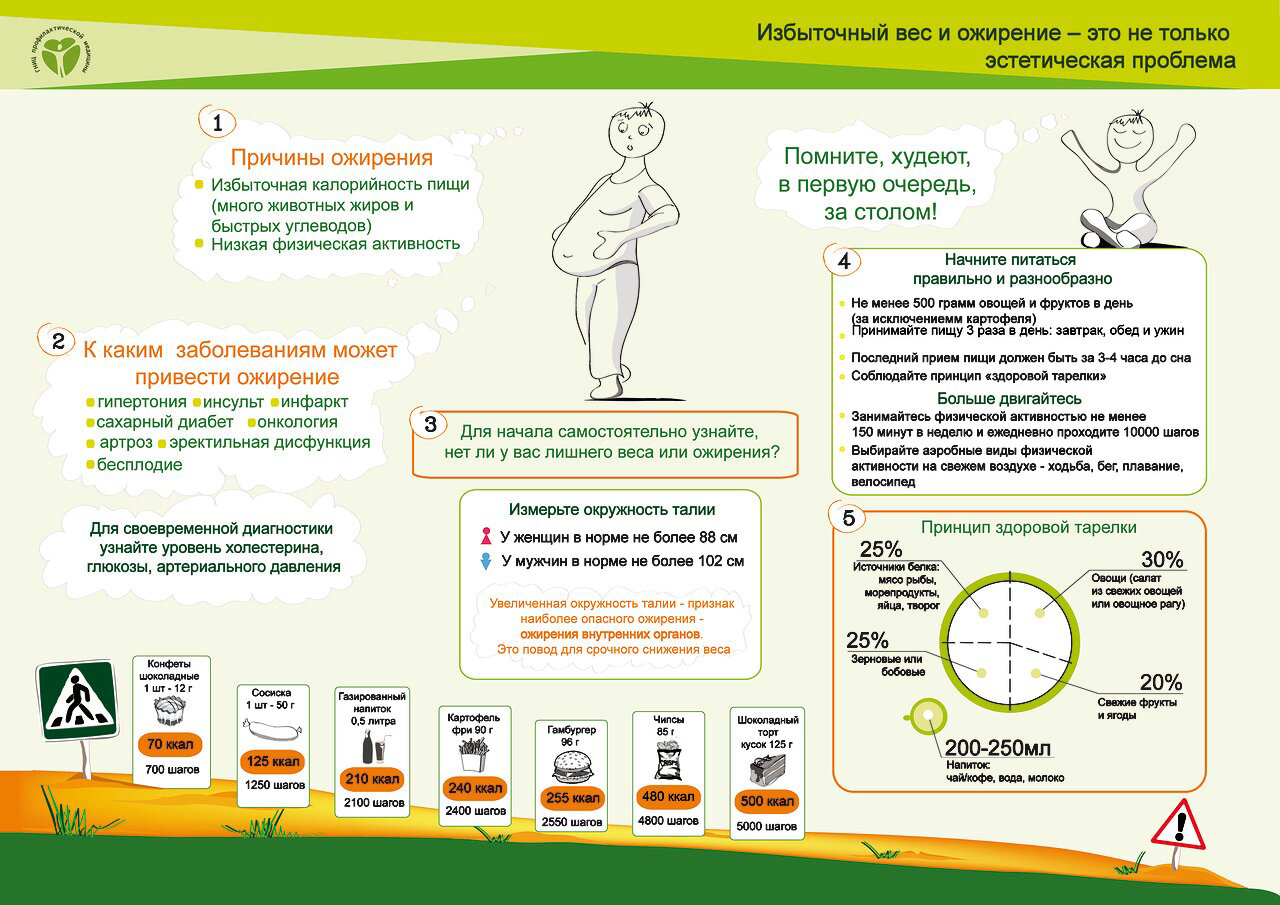10 мифов и фактов о метаболизме: откуда берется лишний вес и как его убрать? | университетская клиника