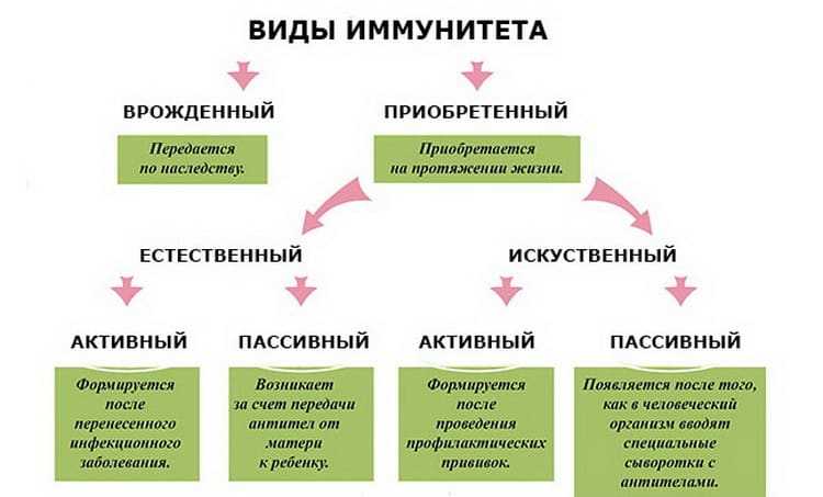 Купероз на лице – что это такое, и как выглядит проблема на фото: как убрать, чем лечить и как избавиться от причин несовершенств кожи – как бороться и вылечиться в домашних условиях