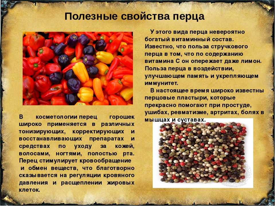 Паприка: полный гид по приправе
