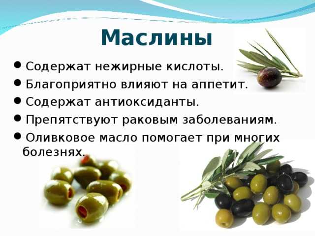 Польза и вред оливок для организма: свойства, есть, маслин, консервированных, выбрать, здоровья, противопоказания, состав, полезны