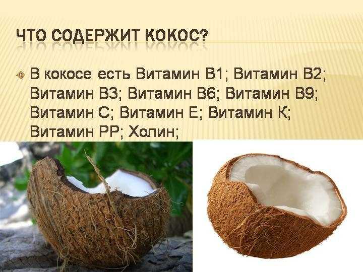 20 интересных фактов о кокосовой пальме и кокосе, в которые трудно поверить