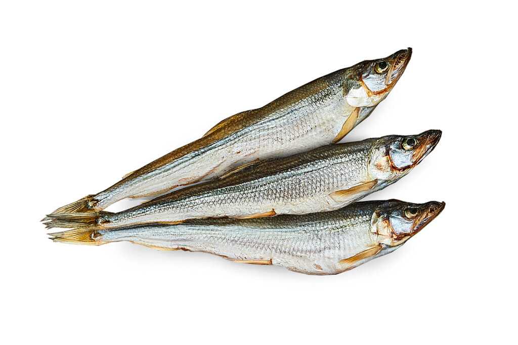 🚩 полезные свойства и способы приготовления рыбы корюшки
