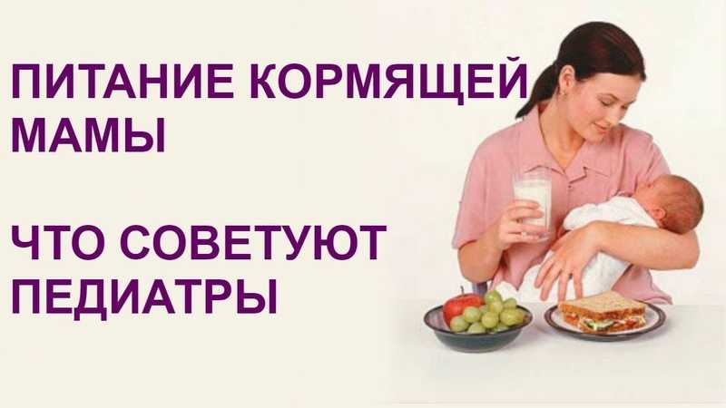 10 мифов о питании кормящей мамы