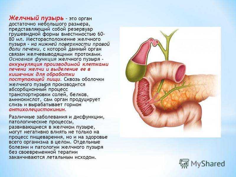 Джвп - дискинезия желчевыводящих путей: признаки заболевания, лечение