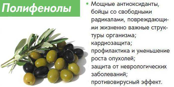 Калорийность оливок: свежих, соленых, маринованных, блюд - похудейкина