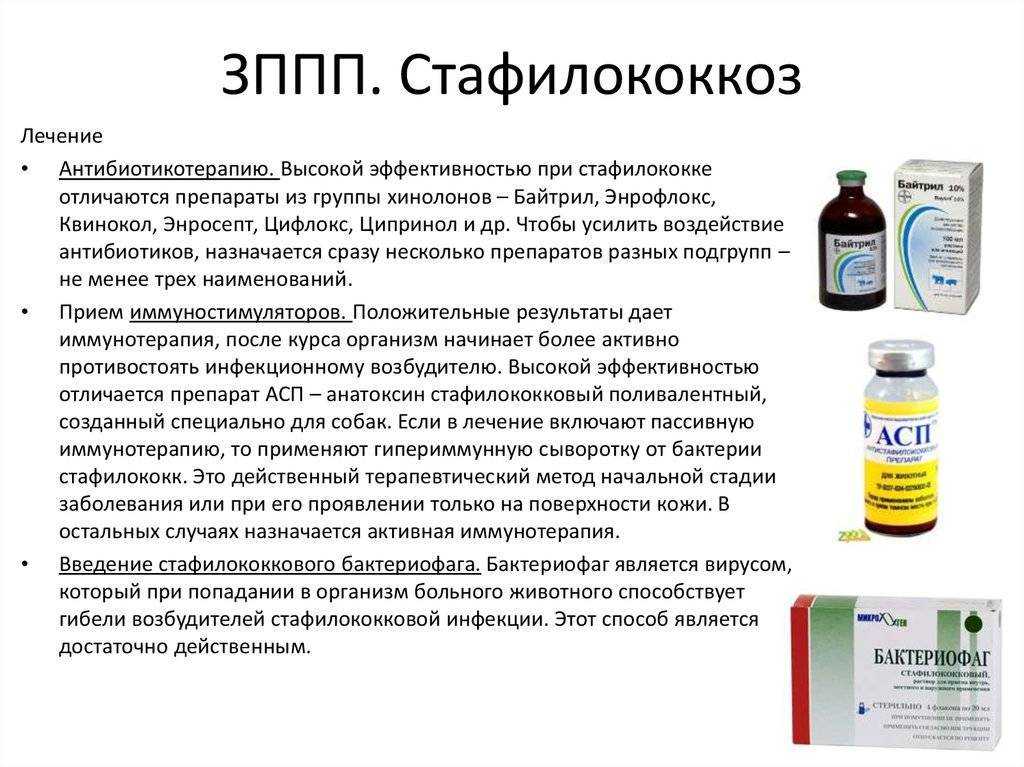 Иногда они возвращаются: о чем говорит рецидив фурункулеза - новости медицины