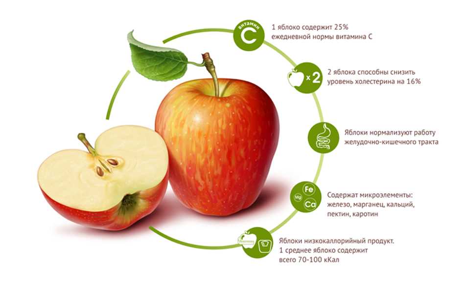 Яблоко: бжу (содержание белков, жиров, углеводов), калорийность, питательная ценность и польза :: syl.ru