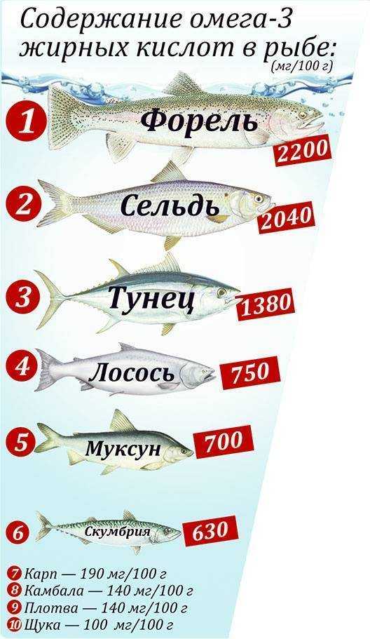 Калорийность рыбы минтай на 100 г. (жареный,  тушеный, вареный)
