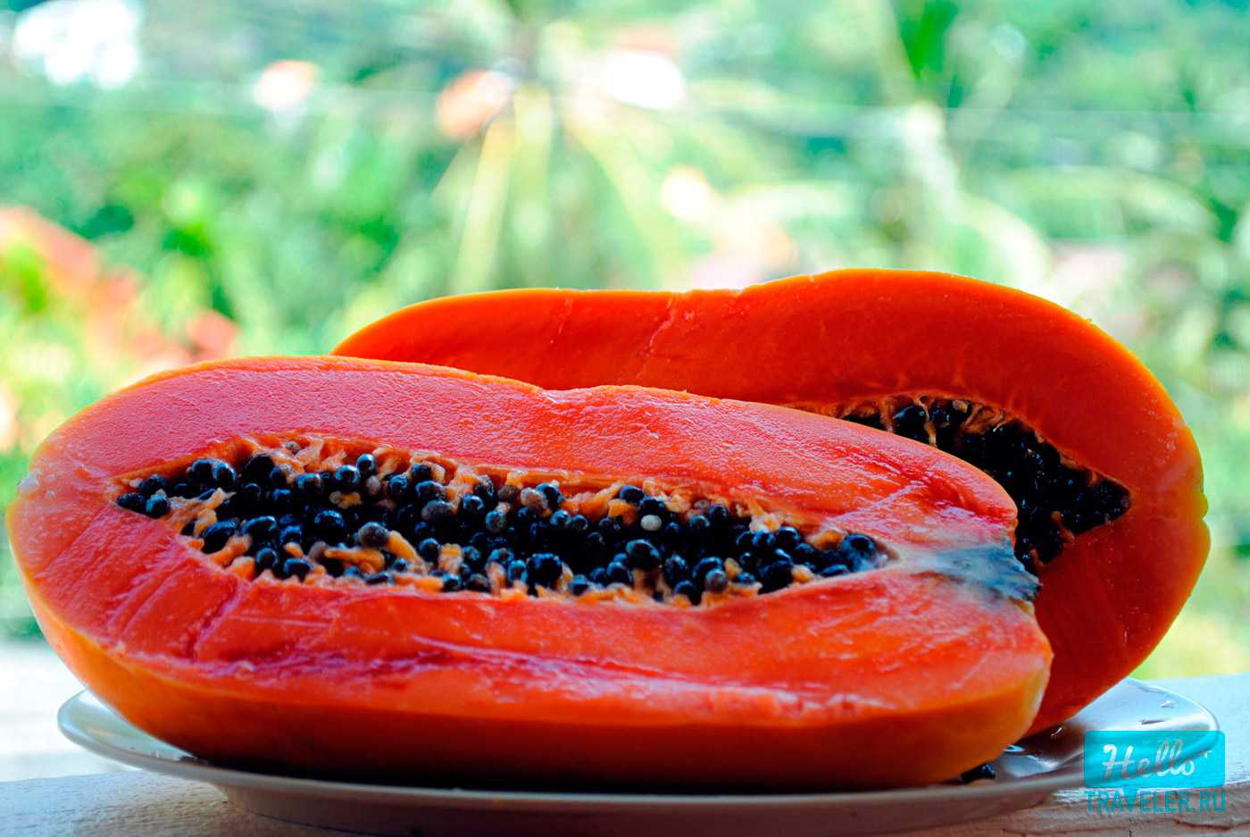 Польза папайя, состав, калорийность фрукта, использование в медицине, а также вред и противопоказания