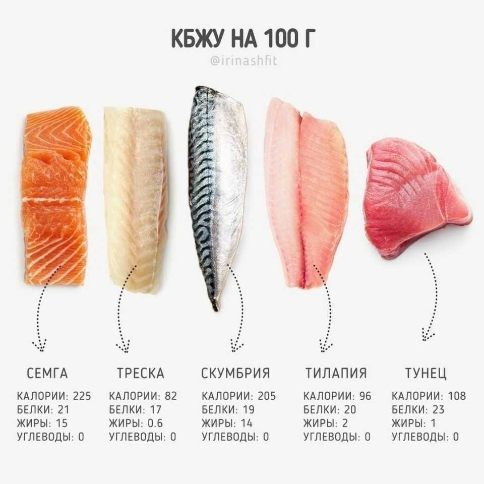 Лосось - полезные и опасные свойства лосося