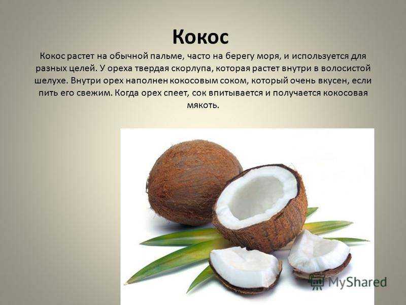 Калорийность кокоса и полезные свойства – всё об орехах