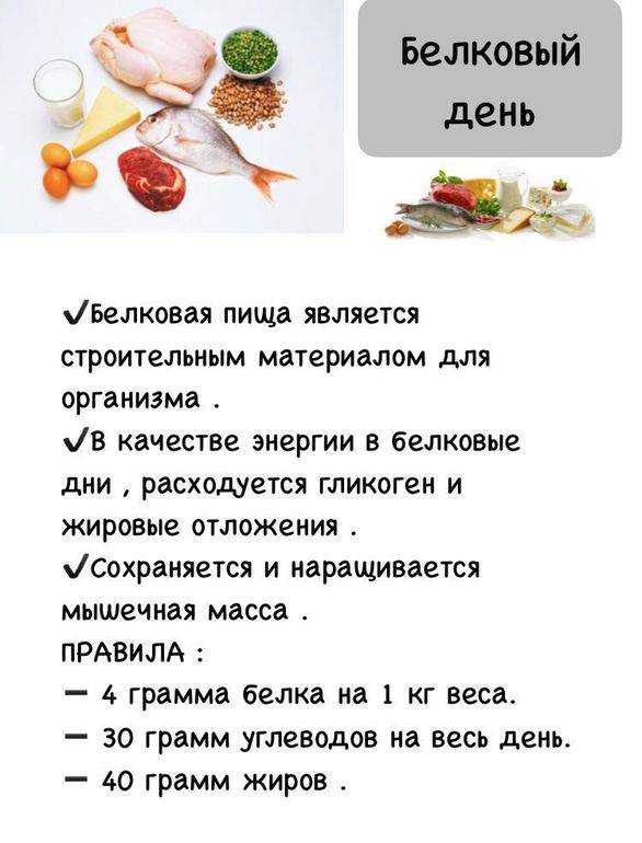 Белково-витаминная диета: плюсы, меню на 5, 7, 10, 14 дней, выход, отзывы и результаты