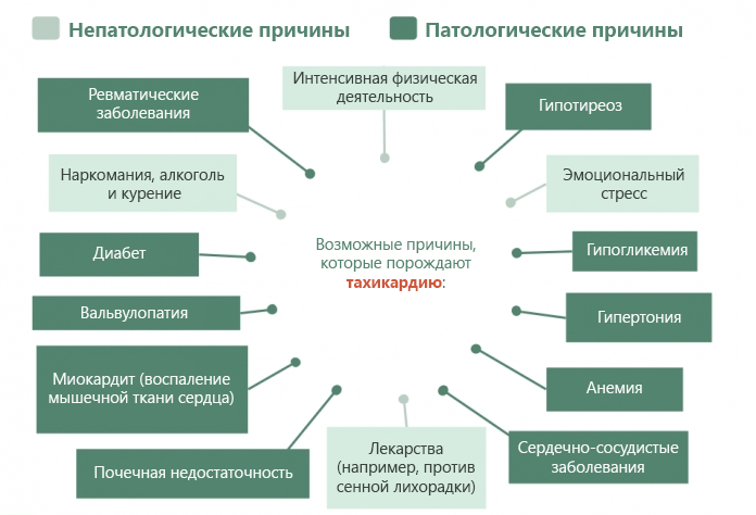 Экстрасистолия при всд: симптомы, причины и меры по избавлению
