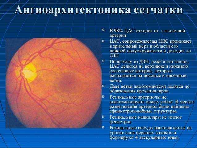Ангиопатия сетчатки мкб 10. Ангиопатия сосудов глаз. Ангиопатия глазного дна. Тромбоз центральной артерии сетчатки глаза. Окклюзия вены сетчатки.