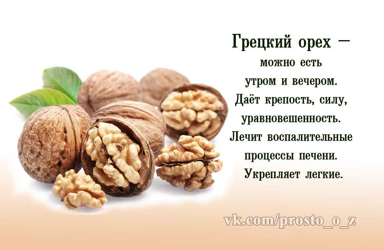 Есть грецкие орехи на ночь. Грецкий орех польза. Польза грецких орехов. Что полезного в грецких орехах. Полезные орехи для организма.
