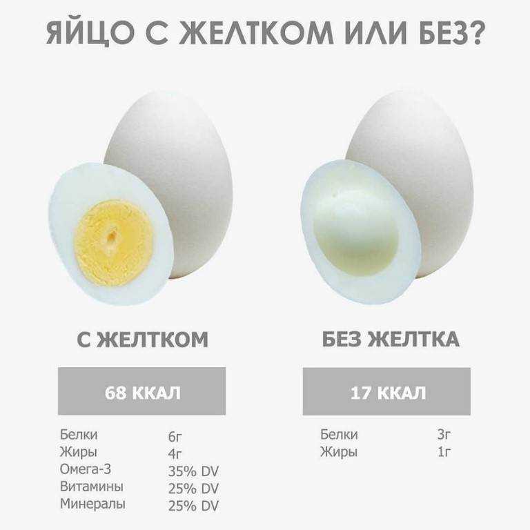 Сколько калорий в яйце: пищевая ценность и полезные свойства