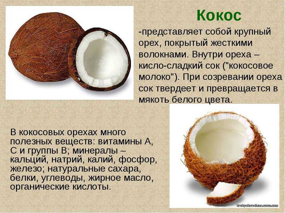 В какой стране растут кокосы – всё об орехах