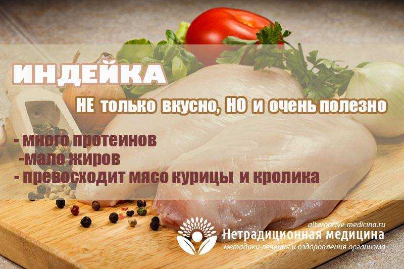 Мясо индейки польза и вред для организма