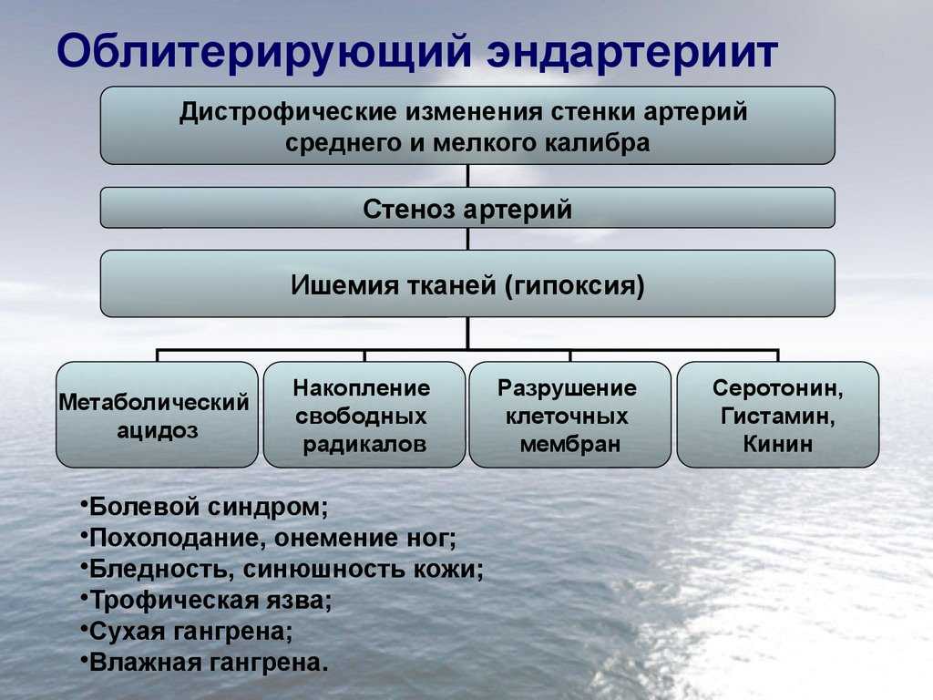 Эндартериит | диагностика и лечение в израиле | сосудистая хирургия