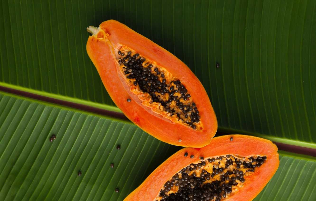 Папайя: описание и полезные свойства тропического фрукта
