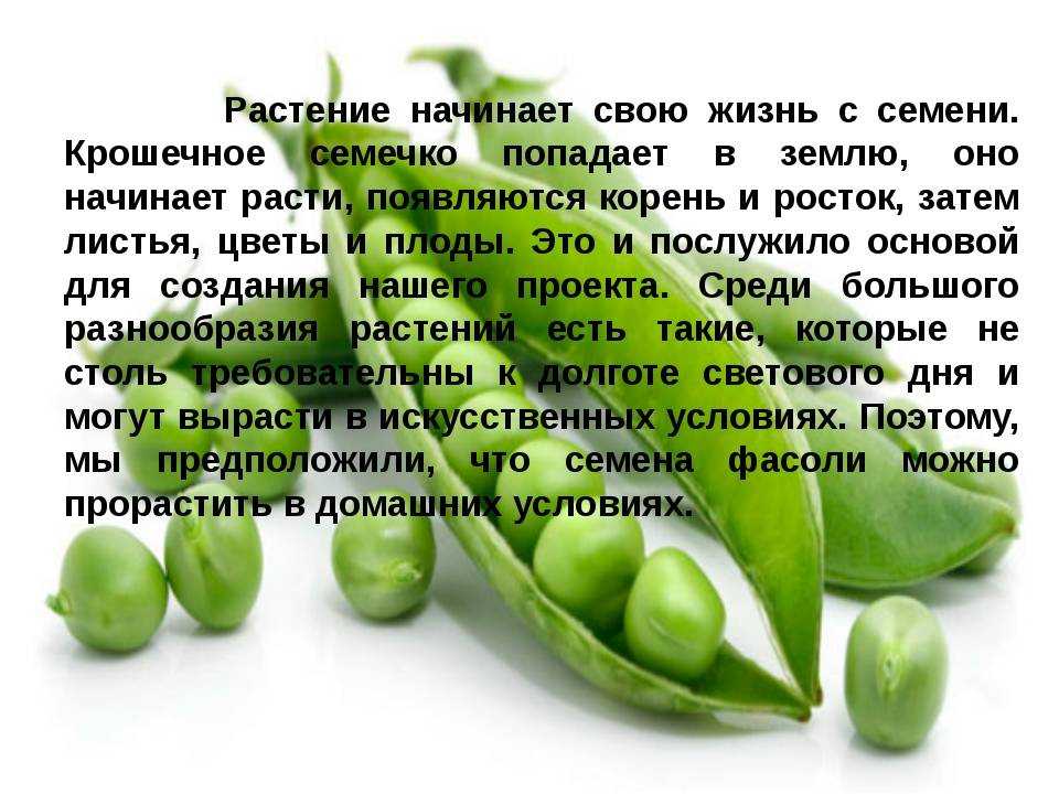 Горох варёный - калорийность, полезные свойства, польза и вред, описание - www.calorizator.ru