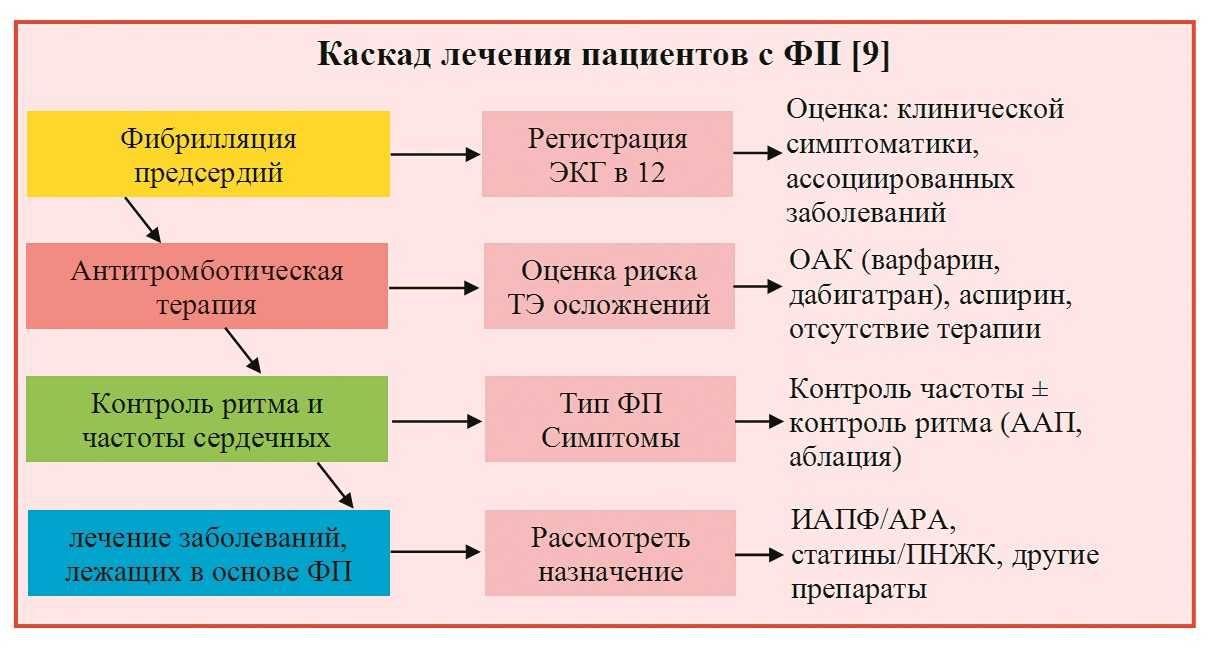 Нарушения сердечного ритма | кардиологический центр в санкт-петербурге