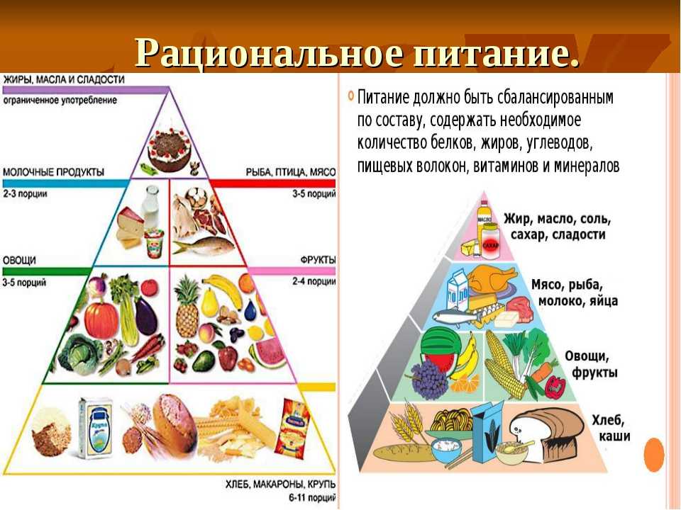 Мировой голод: причины, последствия, риски, статистика, история и меры борьбы с проблемой | lindeal.