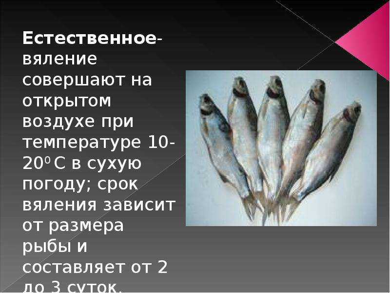 Калорийность вяленой рыбы. польза и вред вяленой рыбы