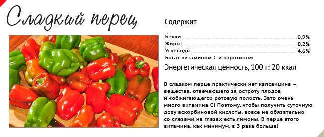 Витамины в болгарском перце: содержание полезных веществ в сладком овоще (красном, желтом и зеленом)