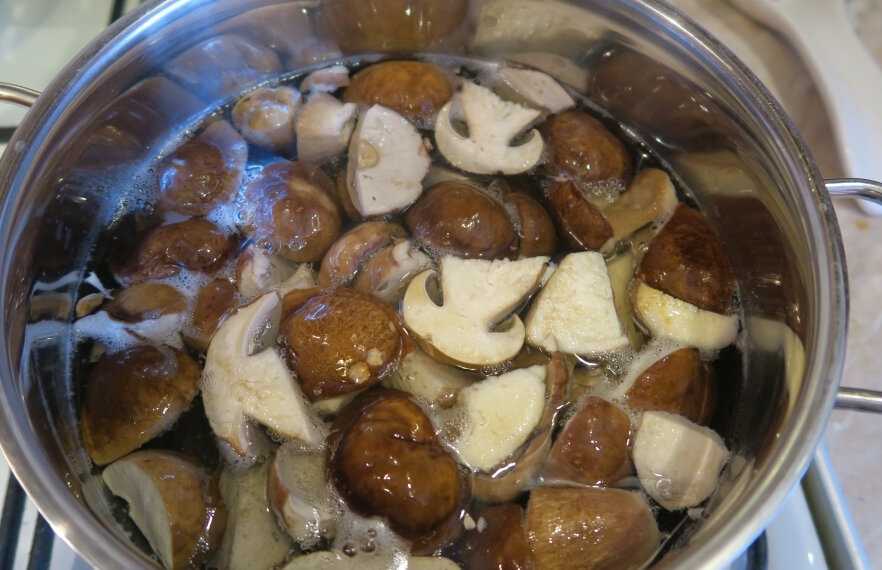 Белый гриб: состав, калорийность, польза, рецепты