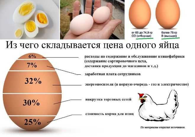 Гусиные яйца: польза и вред для организма | польза и вред