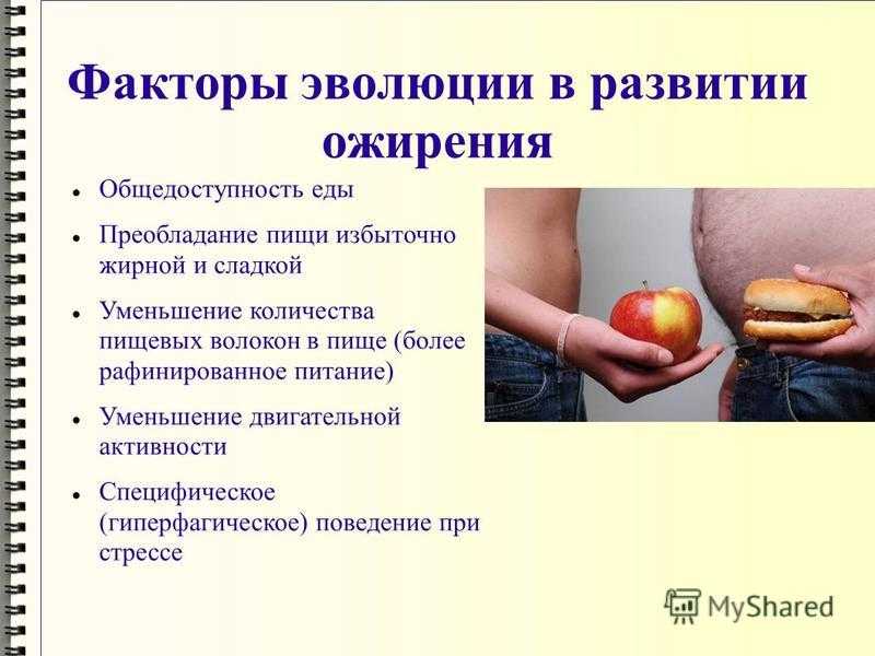 Диета михаила гинзбурга меню. лояльное похудение от гинзбурга: азы питания и рекомендации