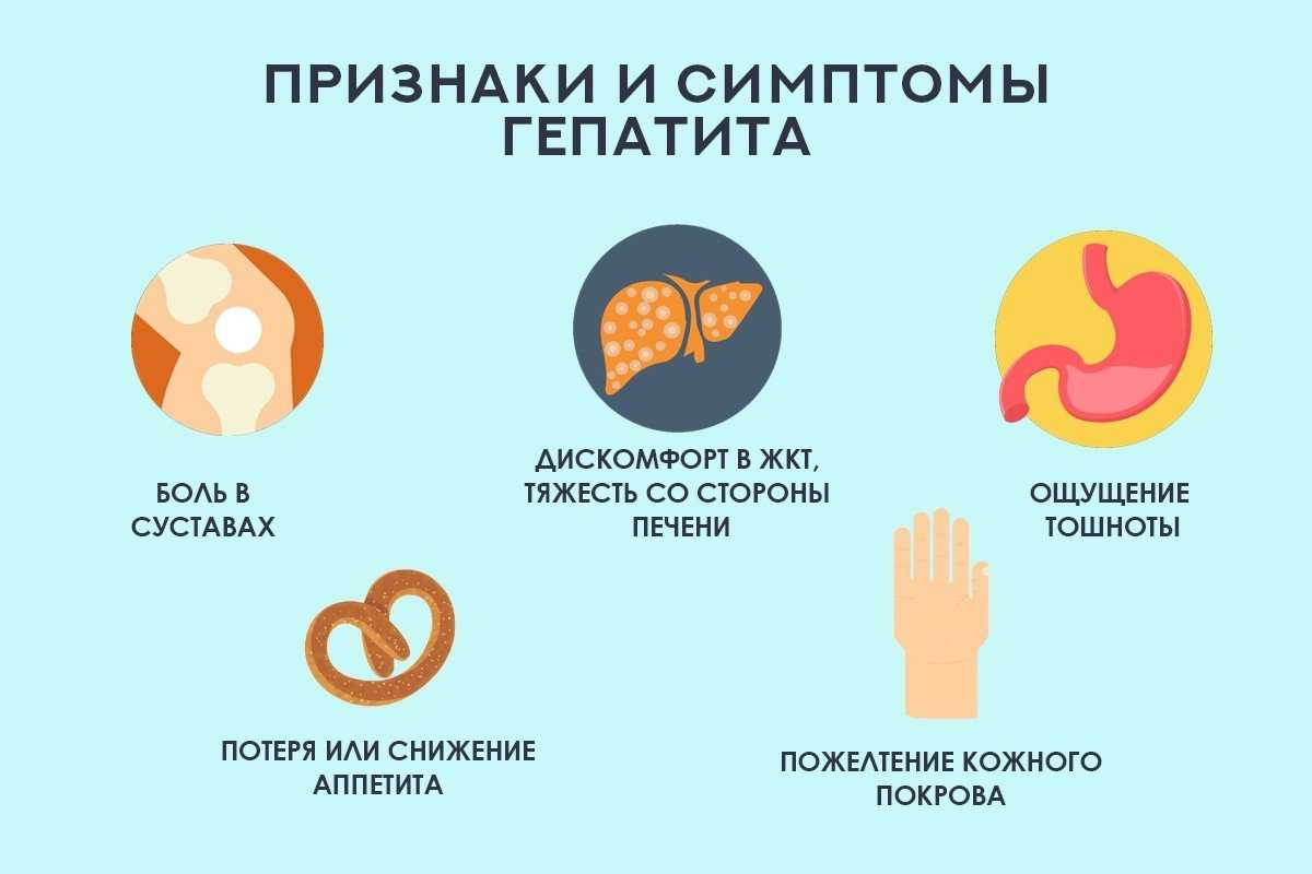 Симптомы заболеваний печени при осложнениях инфекций и приеме лекарств | университетская клиника