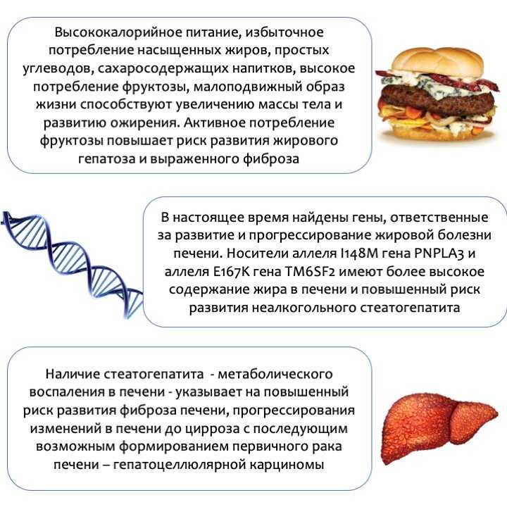 Жировой гепатоз печени чем опасен у женщин. Признаки ожирения печени. Гепатоз ожирение печени.