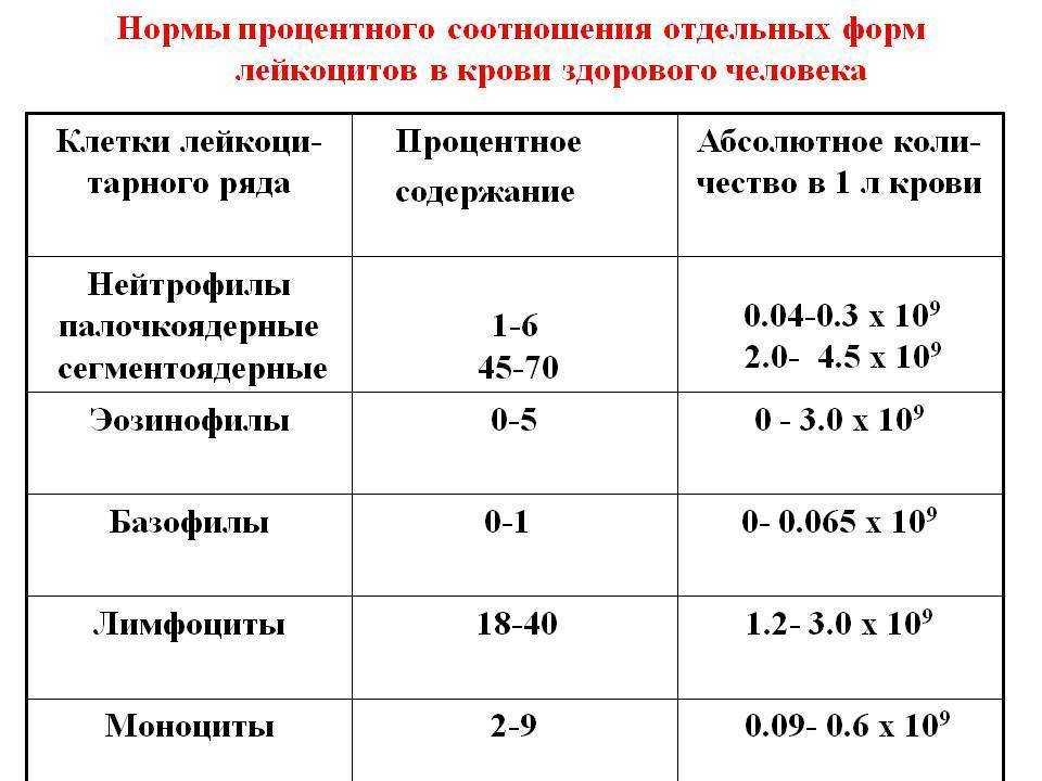 Повышенное количество лимфоцитов. Норма лейкоцитов в крови у женщин после 70 лет таблица. Норма лейкоцитов в крови у женщин. Показатели лейкоцитов в крови норма у женщин. Лейкоциты в крови норма у женщин после 50 лет таблица норм.