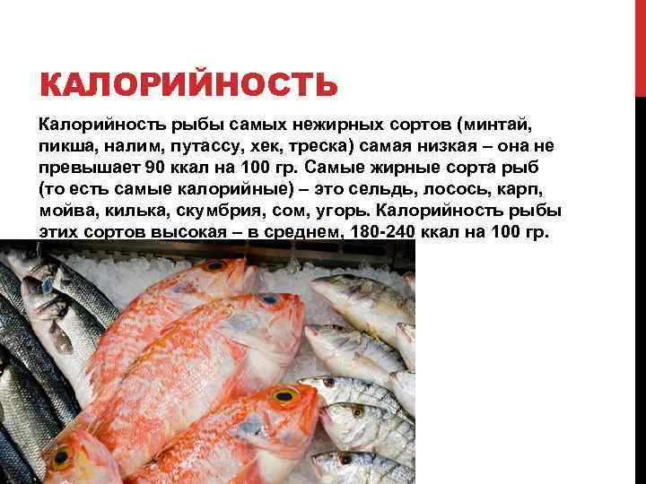 Рыба хек🐟: польза и вред, изучаем полезные свойства для здоровья