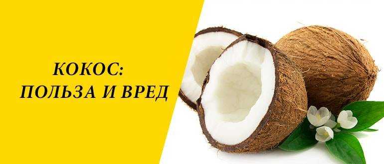 Калорийность кокоса и полезные свойства