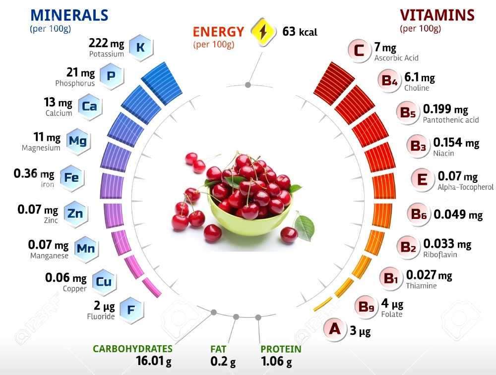 Оптимальное соотношение белков, жиров и углеводов - как рассчитать количество бжу
