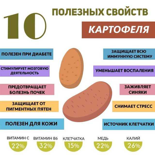 Картофель — химический состав, пищевая ценность, бжу