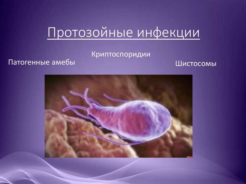 Лечение протозойных инфекций