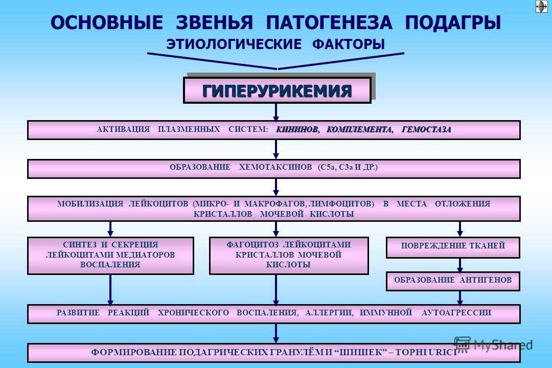 Подагра патогенез. Патогенез подагры схема. Основные этиологические факторы подагры. Механизм развития подагры. Патогенез подагры патофизиология.