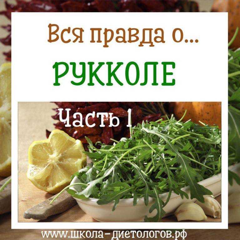 Салат руккола: польза и вред, противопоказания, калорийность, витамины