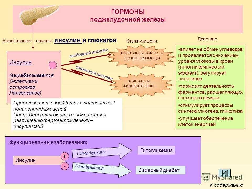 Гормоны поджелудочной железы и их клетки мишени. Гормоны поджелудочной железы биохимия таблица. Эффекты гормонов поджелудочной железы. Структуры вырабатывающие гормоны поджелудочной железы.