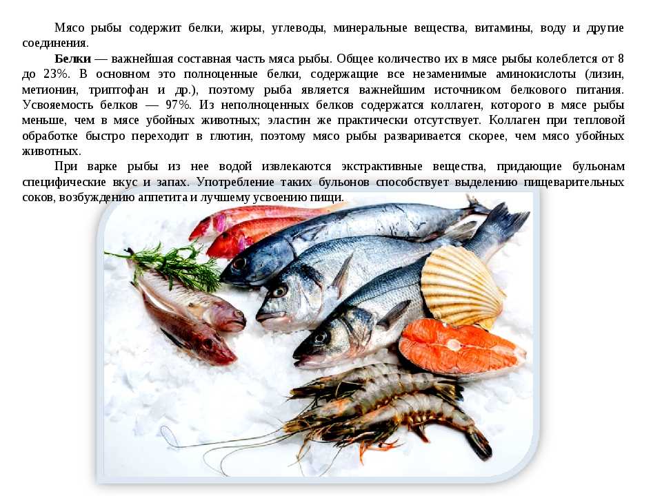 Сколько калорий содержится в рыбе различного происхождения и приготовления?