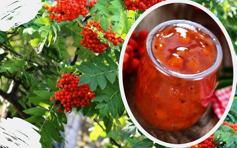 Омега 3-6-9: польза жирных кислот для организма